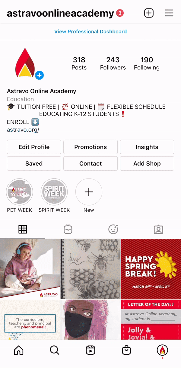 IG: Astravo Online Academy
